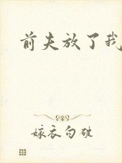 前夫放了我
