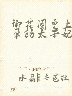 御花园皇上c有孕的太子妃