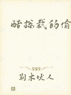 酷总裁的偷孕妻