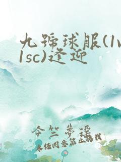 九号球服(1v1sc)逢迎