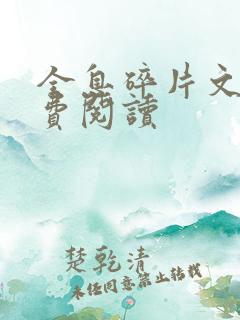 全息碎片文轩免费阅读