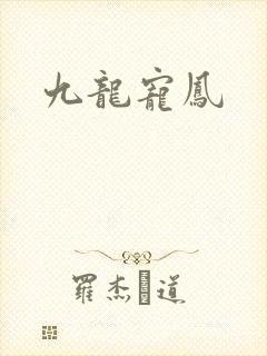 九龙宠凤