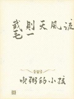 武则天风流艳情毛一