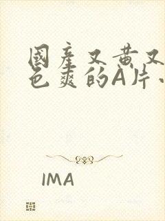 国产又黄又大又色爽的A片小说