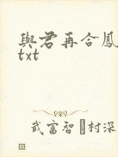 与君再合凤求凰txt