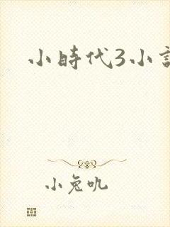 小时代3小说