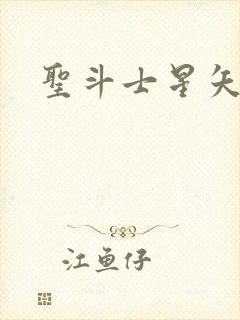 圣斗士星矢小说