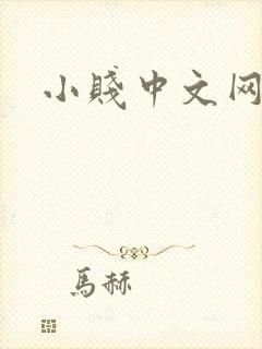 小贱中文网