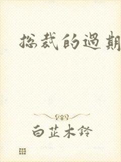 总裁的过期情人