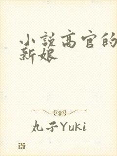 小说高官的暗夜新娘