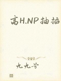 高H.NP抽插
