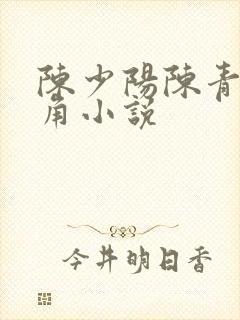 陈少阳陈青帝主角小说