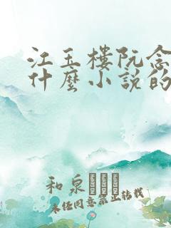 江玉楼阮念笙是什么小说的名字