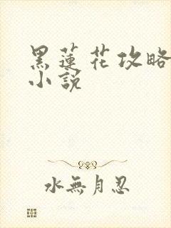 黑莲花攻略手册小说