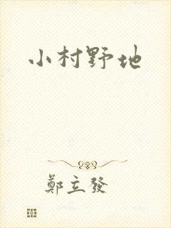 小村野地