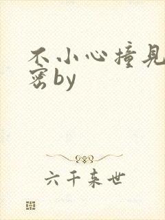 不小心撞见的秘密by