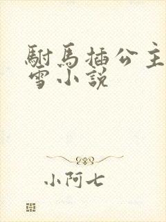 驸马插公主恋战雪小说