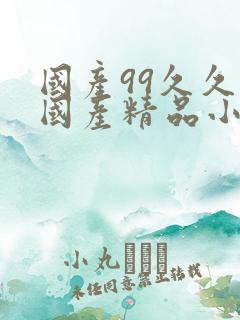 国产99久久久国产精品小说