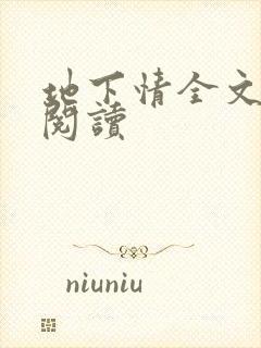 地下情全文免费阅读