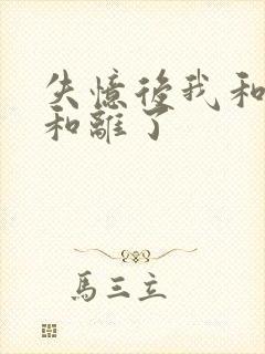 失忆后我和王爷和离了