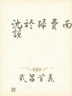 沈于归费南城小说