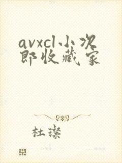 avxcl小次郎收藏家