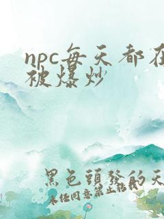 npc每天都在被爆炒