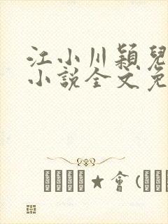 江小川颖儿穿越小说全文免费阅读