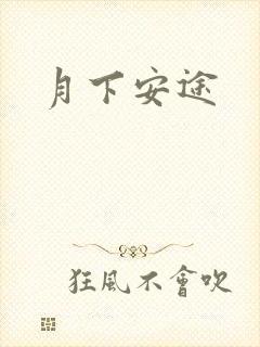 月下安途