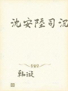 沈安陆司沉小说