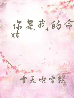 你是我的命运txt