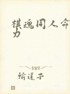 棋魂同人命运之力