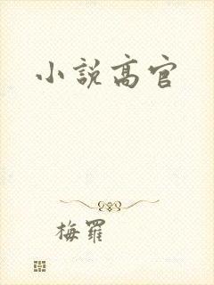 小说高官