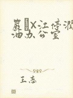严峫X江停润滑油办公室