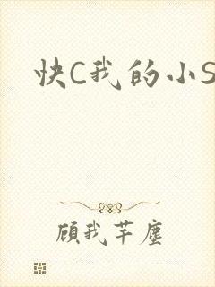 快C我的小SB