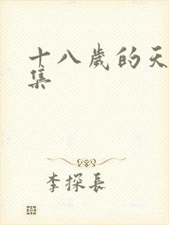 十八岁的天空续集