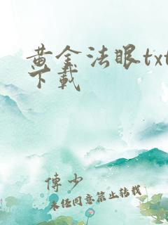 黄金法眼txt下载