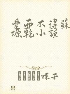 爱而不得苏路顾塬乾小说