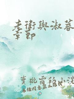 老卫与淑蓉全部章节