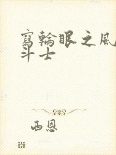 写轮眼之风流圣斗士