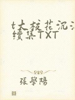 t大校花沉浮录续集TXT