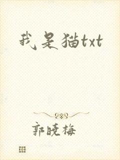 我是猫txt