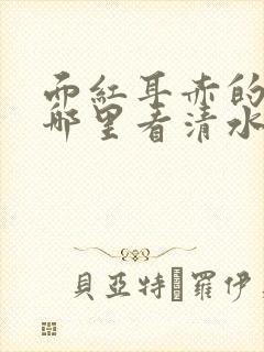 面红耳赤的小说哪里看清水村花