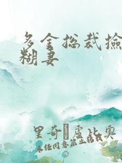 多金总裁捡到迷糊妻