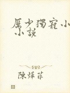 厉少独宠小娇妻 小说