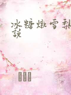 冰糖炖雪梨 小说
