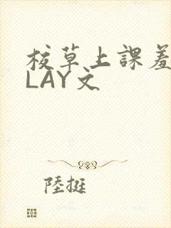 校草上课羞耻PLAY文