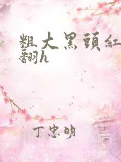 粗大黑头红肿外翻h