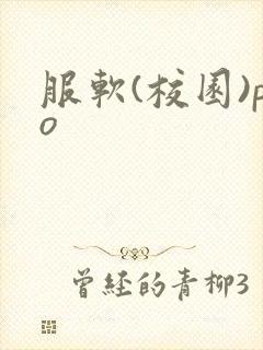 服软(校园)po