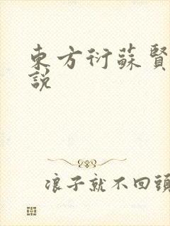 东方衍苏贤儿小说